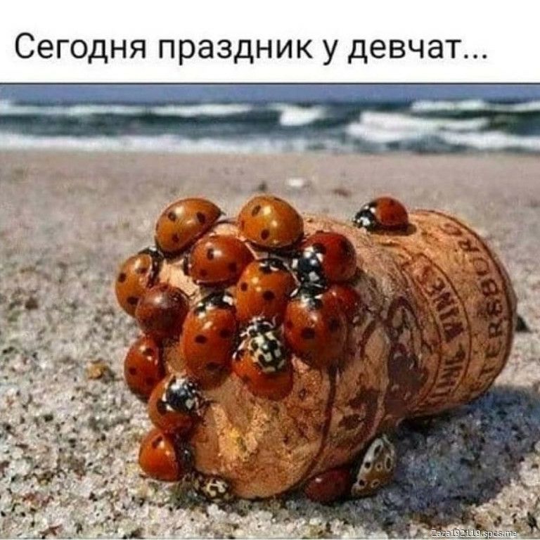 Сегодня праздник у девчат
