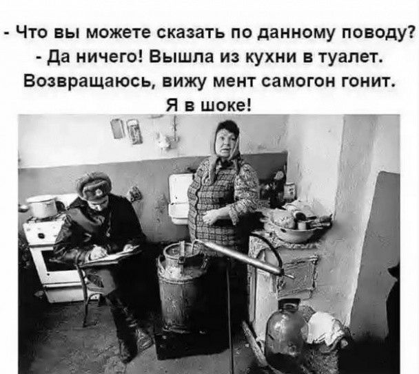 Что вы можете сказать по данному поводу да ничего Вышла из кухни в туалет Возвращаюсь вижу мент самогон гонит Я в шоке