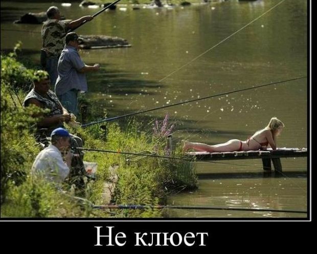 Не клюет