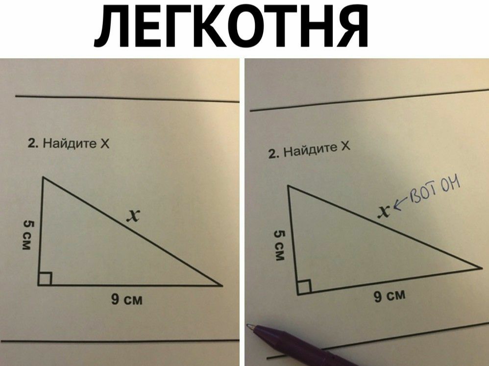 лвгкотня