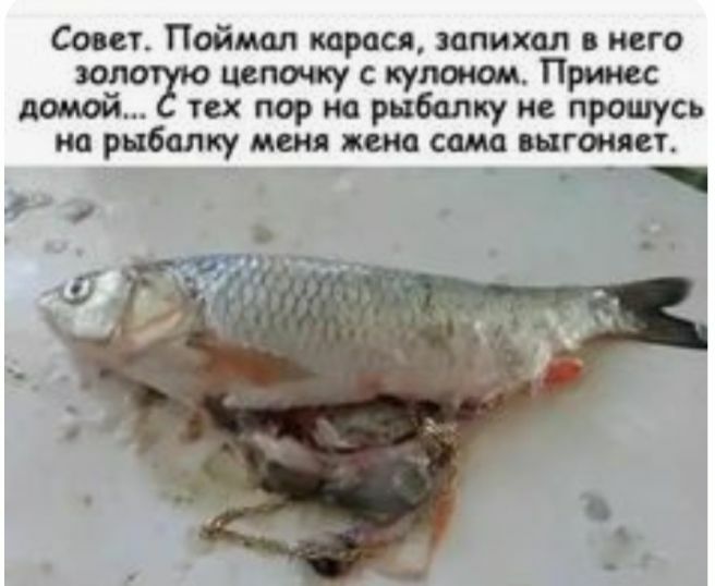 Свит Поймал прося тихий него лат юлгігю ку тех испрошусь травмпушшютлпгшп