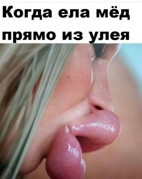 Когда ела мёд пямо из лея