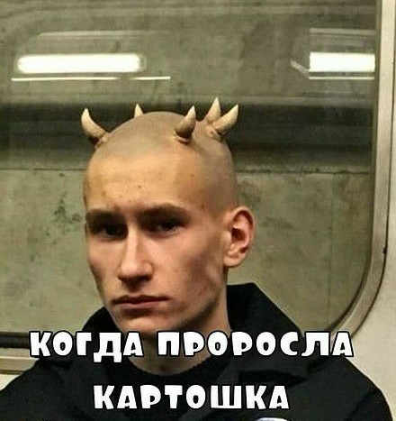 __ _ _ксідд поросли кдвтошк_д