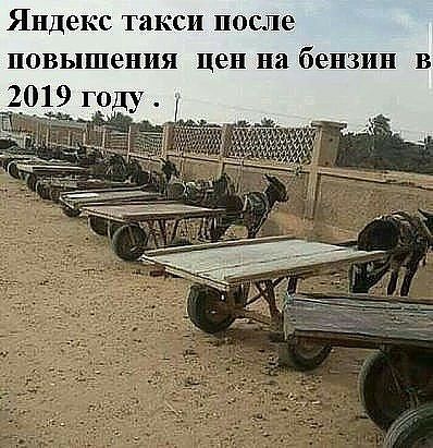Яндекс такси после повышения цен на бензин в 7019 году