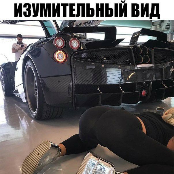 ИЗУМИТЕЛЬНЫИ ВИД _