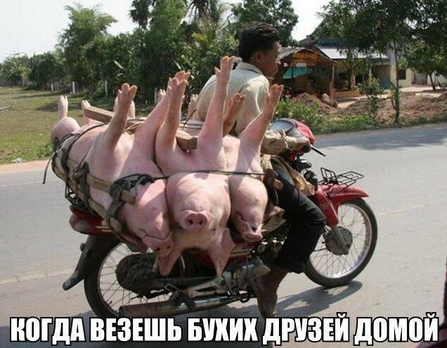 НШдд ВЕЗЕШЬ БУКИХ дРУЗЕЙ ШШЮЙ