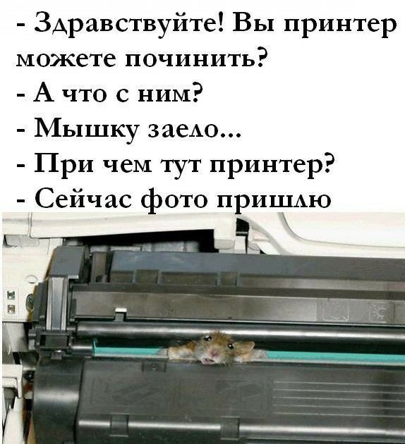 Здравствуйте Вы принтер можете починить А что с ним Мышку заеАо При чем тут принтер Сейчас фото прИШАю _