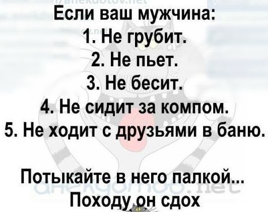 Если ваш мужчина 1 Не грубит 2 Не пьет 3 Не бесит 4 Не сидит за компом 5 Не ходит с друзьями в баню Потыкайте в него папкой Походдвн сдох