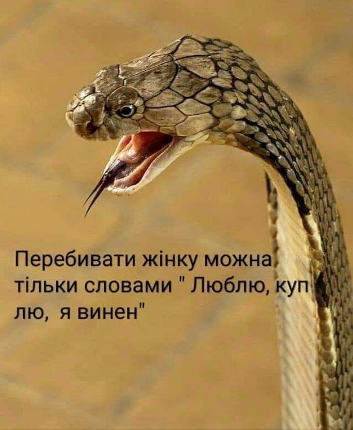 тільки словами Люблю куп лю я винен