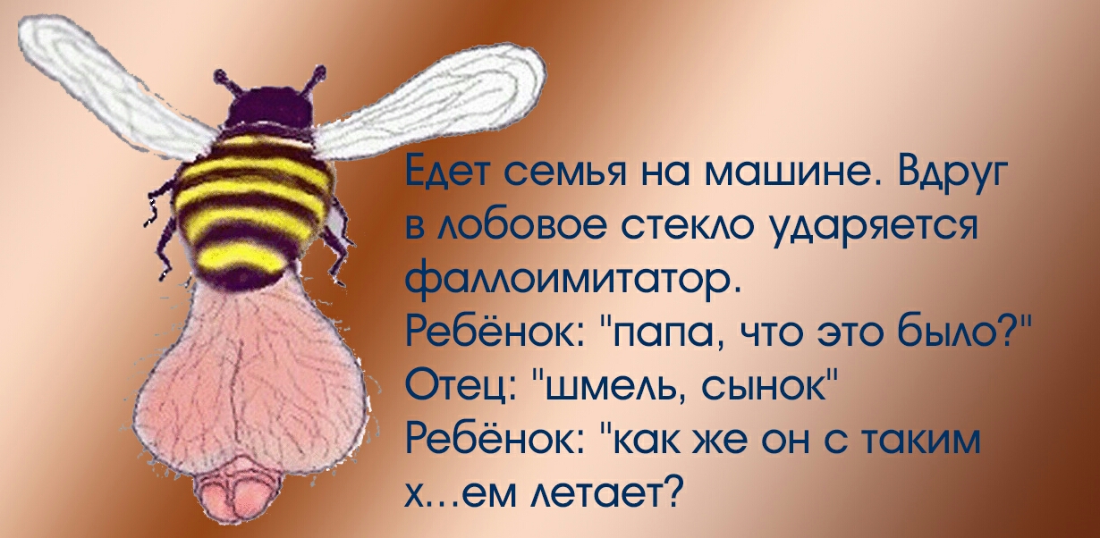 семья на машине Вдруг обовое СТеКАО ударяется моимитотор Ребенок попа что это 6 Отец шмеАь сынок Ребёнок как же он с т х ем Аетоет
