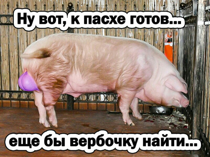 ещбы вербочку наити
