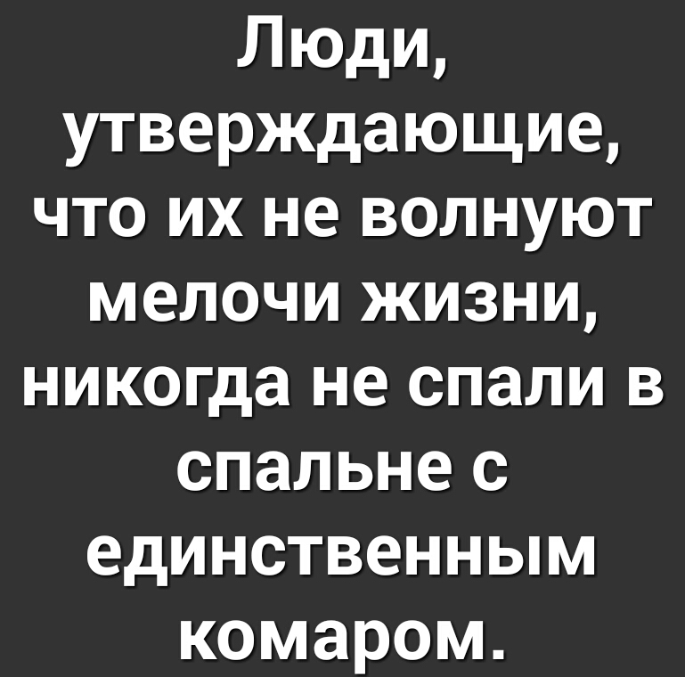 Люди утверждающие что их не волнуют мелочи жизни никогда не спали в спальне с единственным комаром