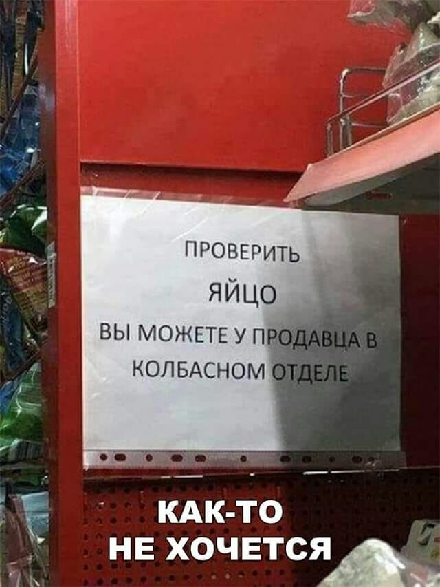 ПРОВЕРИТЬ яйцо ВЫ МОЖЕТЕ У КОЛБАСНО ЕЁ ЖК 0 НЕ ХОЧЕТСЯ 1 А