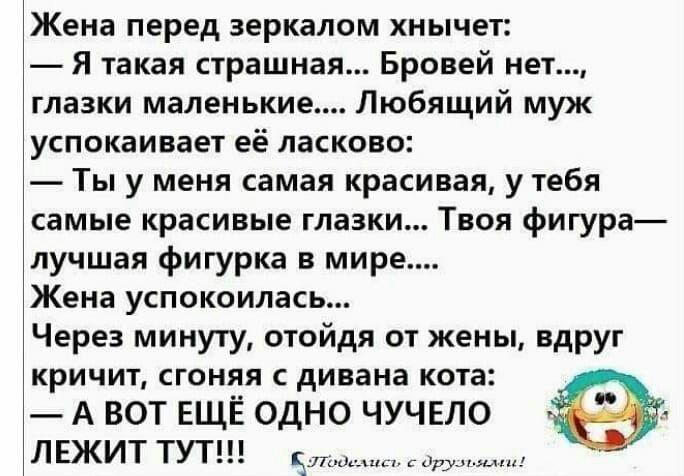 Жена перед зеркалом хнычет Я такая страшная Бровей нет глазки маленькие Любящий муж успокаивает её ласково Ты у меня самая красивая у тебя самые красивые глазки Твоя фигура лучшая фигурка в мире Жена успокоилась Через минуту отойдя от жены вдруг кричит сгоняя с дивана кота А ВОТ ЕЩЁ ОДНО ЧУЧЕЛО ЛЕЖИТ ТУТ 5 у