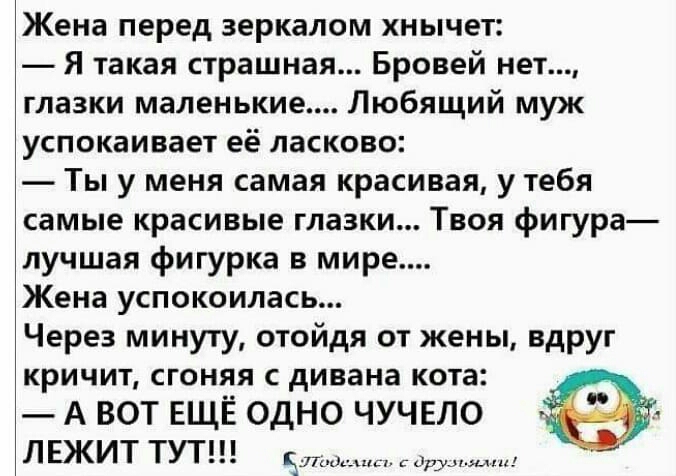 Жена перед зеркалом хнычет Я такая страшная Бровей нет глазки маленькие Любящий муж успокаивает её ласково Ты у меня самая красивая у тебя самые красивые глазки Твоя фигура лучшая фигурка в мире Жена успокоилась Через минуту отойдя от жены вдруг кричит сгоняя с дивана кота А ВОТ ЕЩЁ ОДНО ЧУЧЕЛО ЛЕЖИТ ТУТ 5