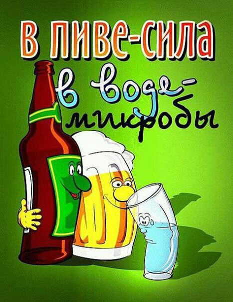 С 6