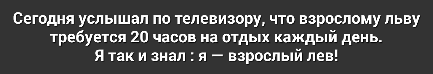 Сегодня услышал по телевизору что взрослому льву требуется 20 часов на отдых каждый день Я так и знал я взрослый лев