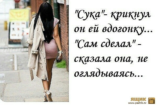 Сука крикнул он ей вдогонку 1 Сам сделал сказала она не оглядываясь ящик мин
