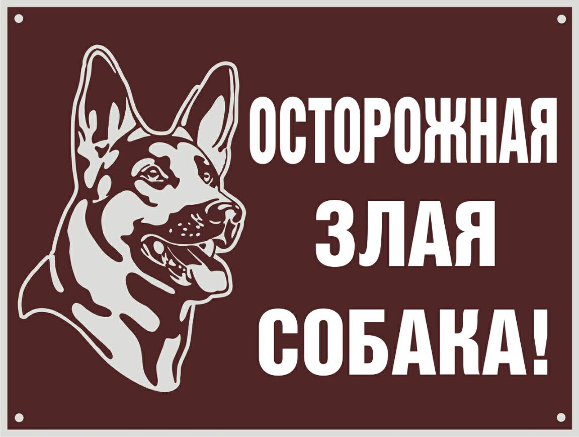 08Т0Р0ЖНАП ЗЛАЯ СОБАКА