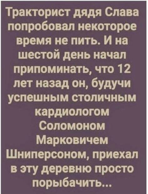 Тракторист дядя Слава попробовал некоторое время не пить и на шестой день начал припоминать что 12 лет назад он будучи успешным столичным кардиологом Соломоном Марковичем Шниперсоном приехал в эту деревню просто порыбачить