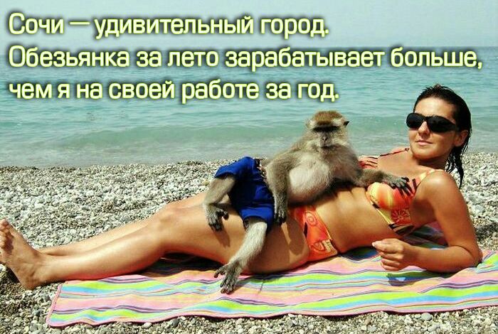 бти тчттгпзпттті Кщштэт шппвсагт ггЮэ