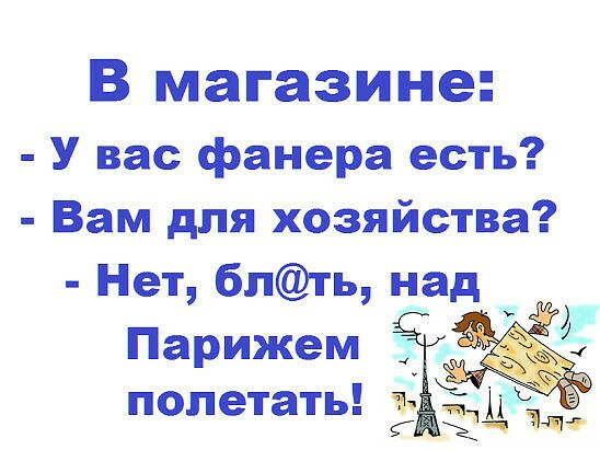 В магазине У вас фанера есть Вам для хозяйства Нет блть над _ Парижем полетать ш 23 и ч