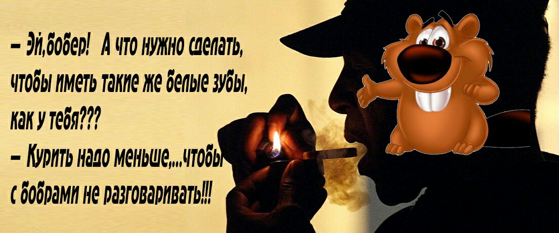 Мбобер А что нужно сделать чтобы иметь такиеже белыезубьь каиутебя Курить надо меньшечтобь сбобрамп не разговаривать