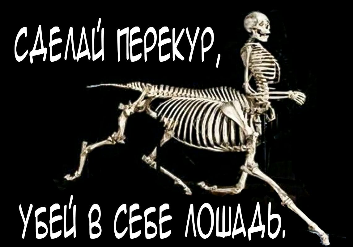 САЕААШ перекур