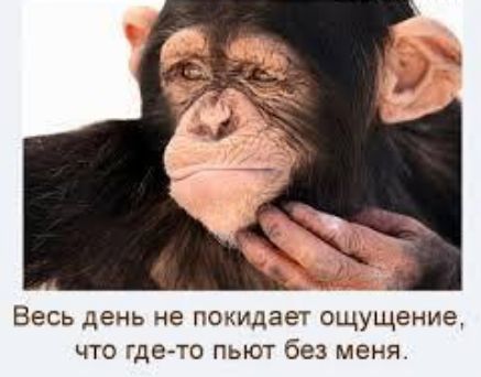 ВЕСЬ день не покидает ощущение ЧТО гдето ПЬЮТ без МЕНЯ