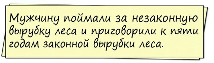 Мужчину поймаш за незаконную вырубку Асса м иригобориАм к пяти годам законной Вырубка Аеса