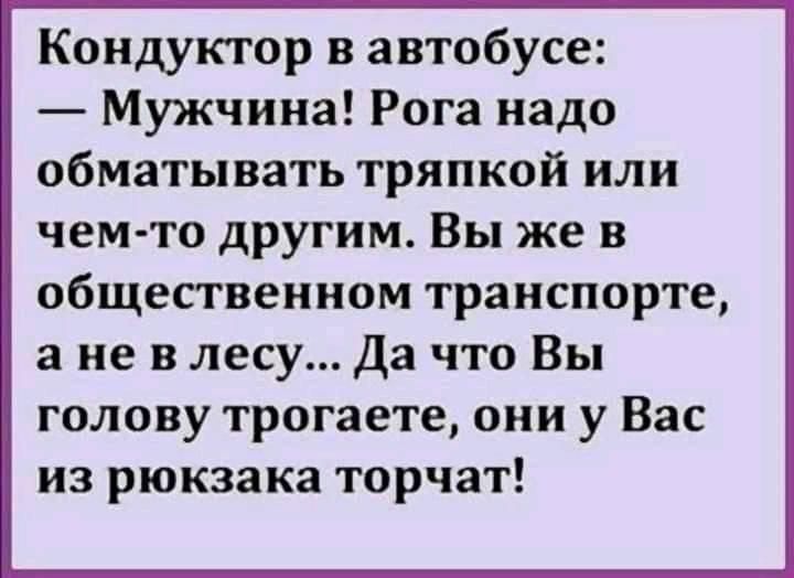 Кондуктор в автобусе Мужчина Рога надо обматывать тряпкой или чем то другим Вы же в общественном транспорте а не в лесу Да что Вы голову трогаете они у Вас из рюкзака торчат
