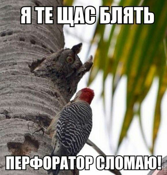 и тв щде Ёнть Ёпдвфогдтог ел