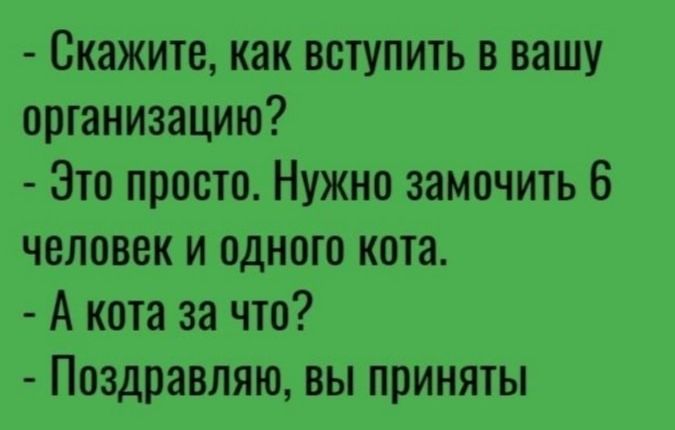 Скажите как вступить в вашу организацию Это просто Нужно замочить 6 человек и одного кота А кота за что Поздравляю вы приняты