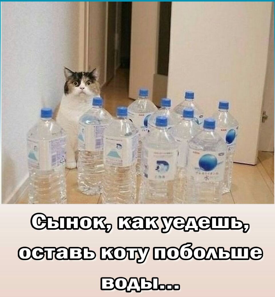 ос