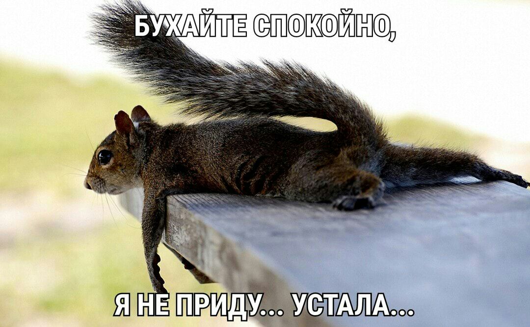 УХАЙТЕ д