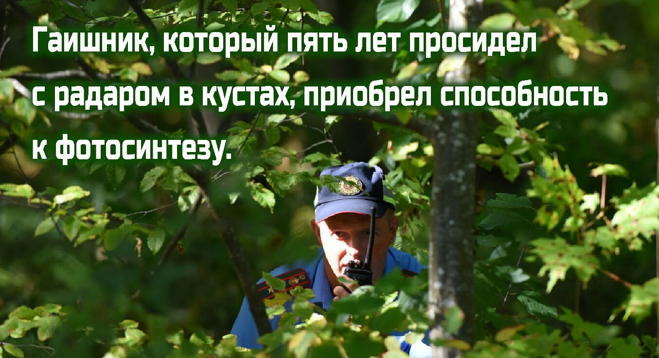 г 4 52 и г ГаиШнйк КОТОРЫИ ПЯТЬ ЛЕТ ПРОСИДЕЛ 19 49 ід с радаром в кустах приобрел способность к фотосинтезу ч1 Ъ 15