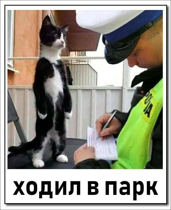 ХОДИП В ПЗРК