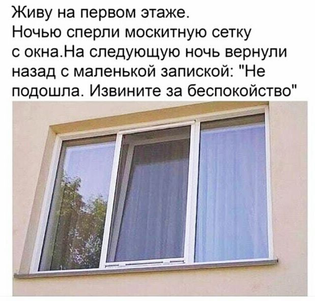 Живу на первом этаже Ночью сперли москитную сетку с окнаНа следующую ночь вернули назад с маленькой запиской Не подошла Извините за беспокойство
