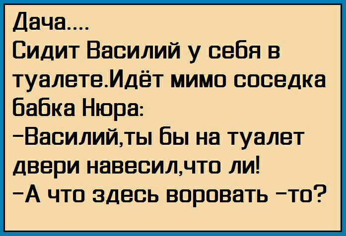 Дача Сидит Василий у себя в туалетеИдёт мимо соседка Бабка Нюра Василийты Вы на туалет двери навесилчтс ли А что здесь всрсвать тс