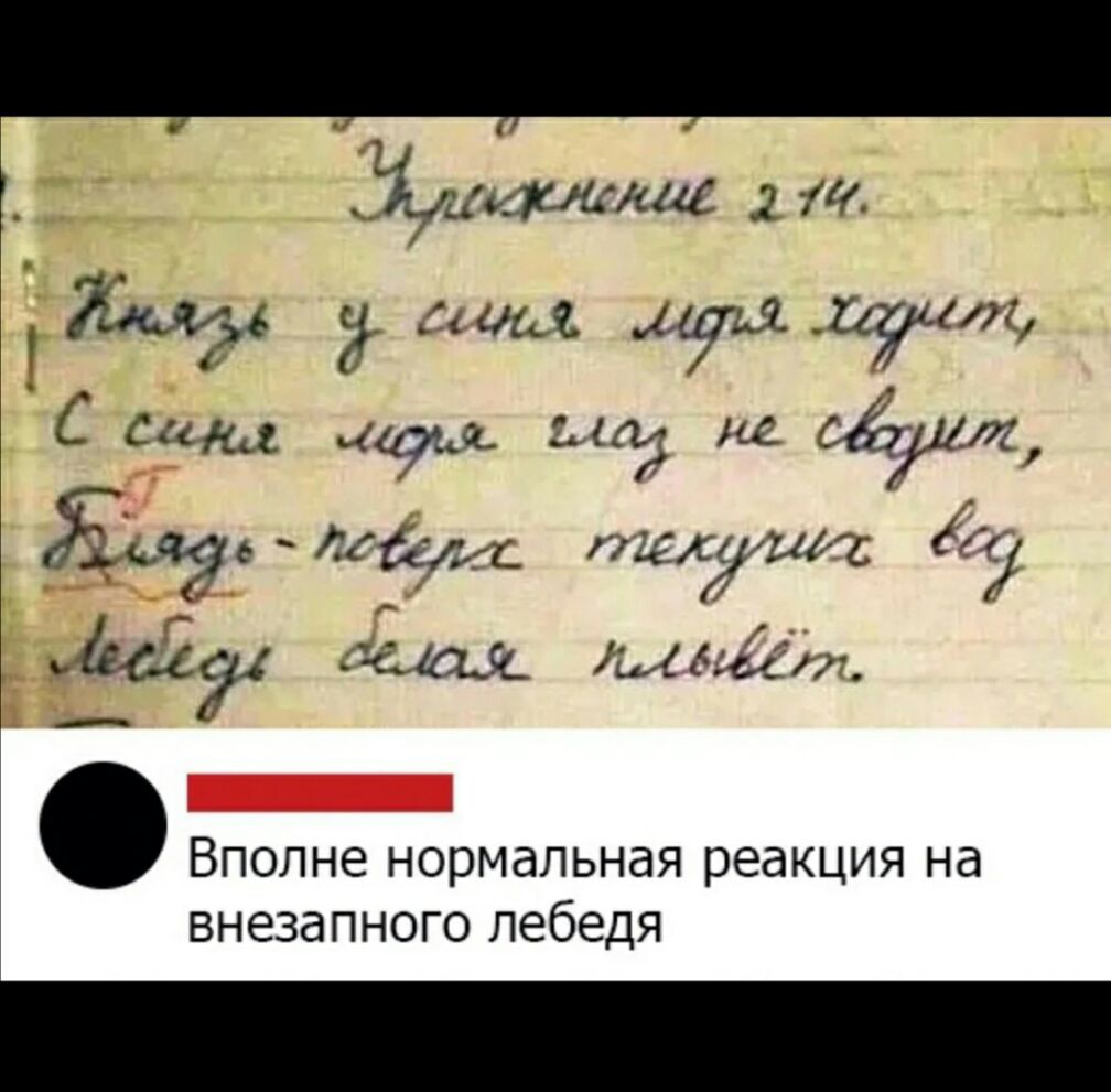 аудитше т Жди4 ши душ пуста С Саш их еёг ЯьЯЙРЛКБЁлгс тиес ахс ду 142 щ ммм7 вполне нормальная реакция Нд внезапного лебедя
