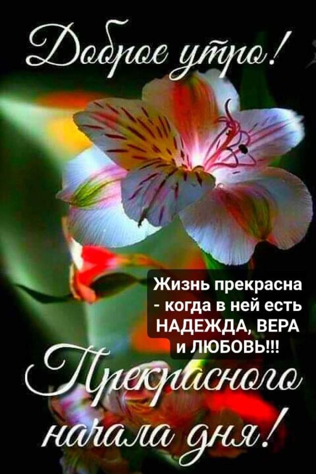 Жизнь прекрасна когда в ней есть НАДЕЖДА ВЕРА и ЛЮБОВЬ