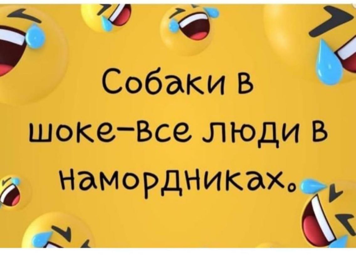 Собакив шокеВсе ЛЮДИ В НдМОРдНИКдХо