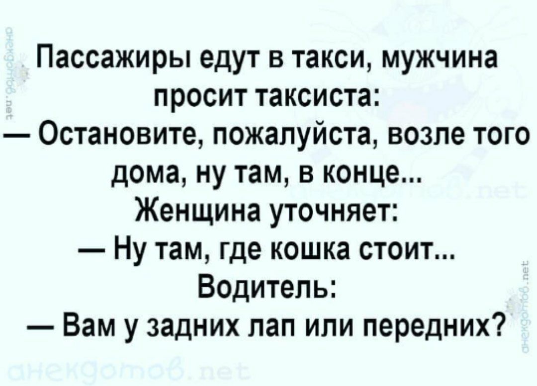 Пассажиры едут в такси мужчина просит таксиста Остановите пожалуйста возле того дома ну там в конце Женщина уточняет Ну там где кошка стоит Водитель Вам у задних лап или передних