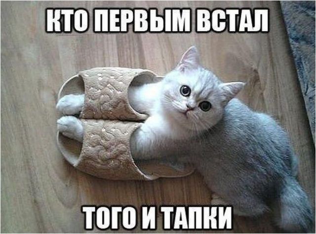 ТПП И ТАПНИ