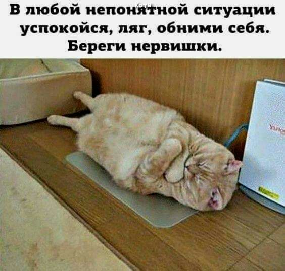 В любой иепоиктиой ситуации успокойся пят обними себя Береги нервишки