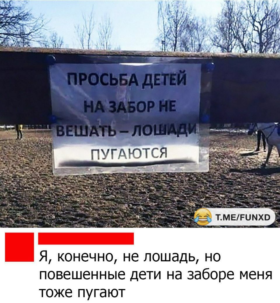 Я конечно не лошадь но повешенные дети на заборе меня тоже пугают