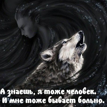 А Наешь ттоЖедмповещд ф Ичшсшоже бываю 604999