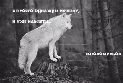 а япросиіопиджлн чшіу и пп Аин ипоиомдрьоп