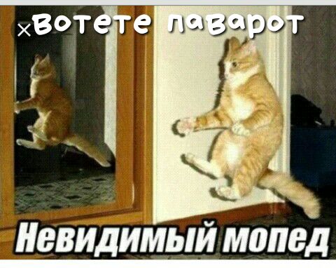 ВВИДИМЫЙ МППВД