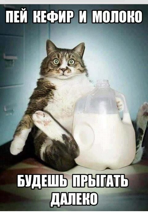 ПЕЙ НЕФИР И МППШЮ